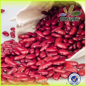 Chinese all kinds of beans agricultural beans and kidney beans